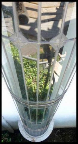 Stained Glass Restoration Project - Stanley Point Road, Devonport, Auckland